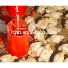 Chicken poultry farm automatic chicken equipment price